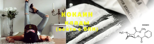 мяу мяу мука Баксан